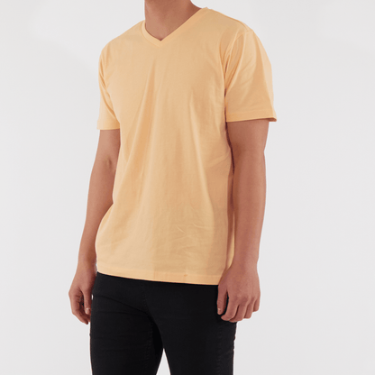 Regular Fit T-Shirt, V Neck